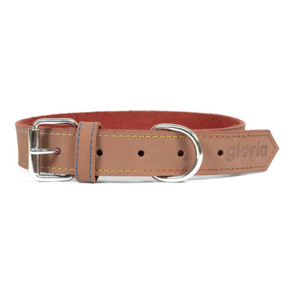 Collier pour chien oasis marron (50 x 2,1 cm)
