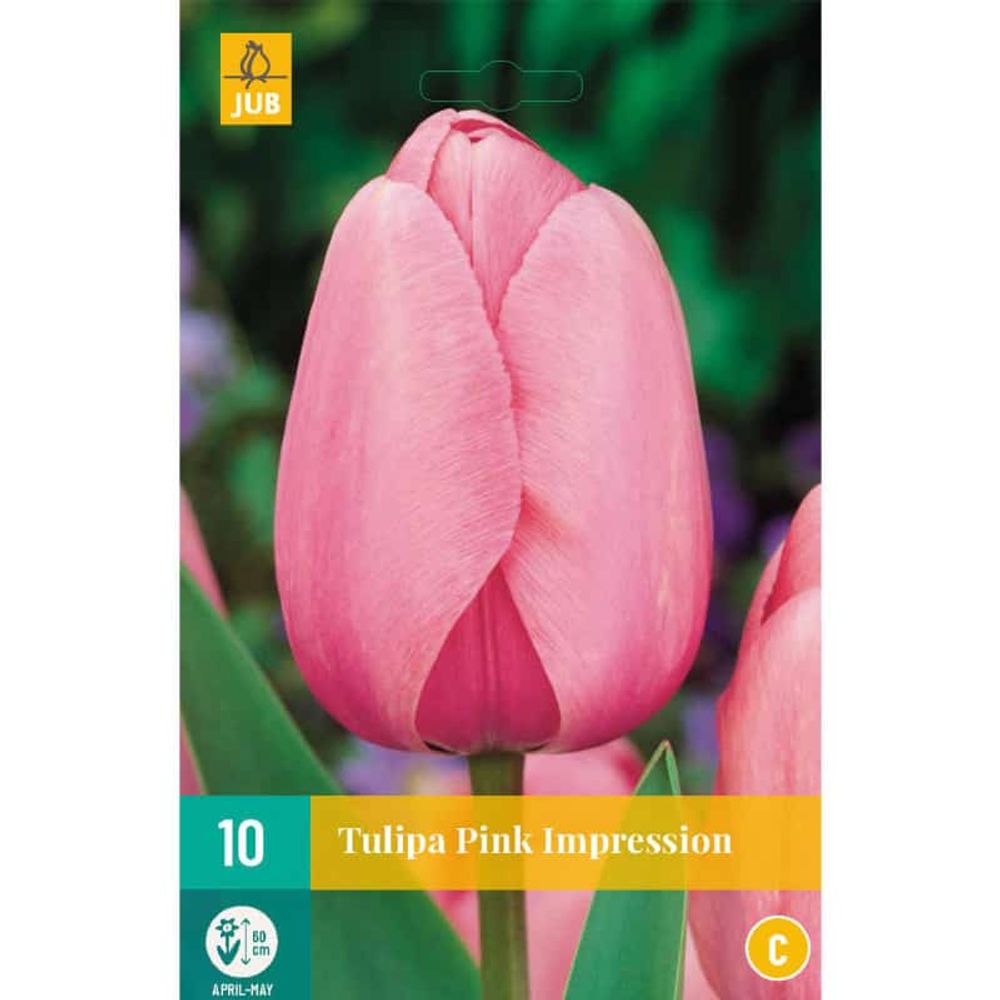 10 tulipes pink impression | Truffaut