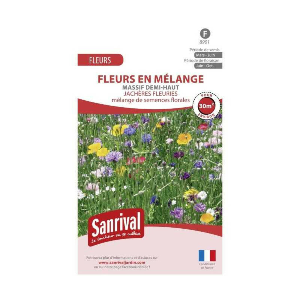 Jachère fleurie pour massif demi-haut