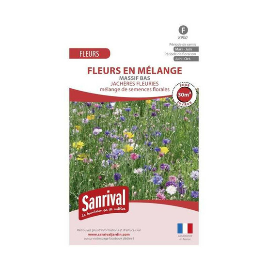 Jachère fleurie massif bas