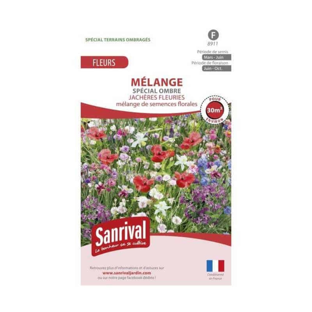 Mélange de graines vivaces demi-ombre