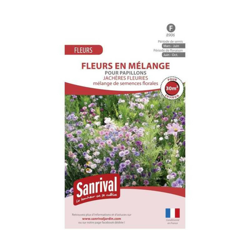 Jachère fleurie pour papillons