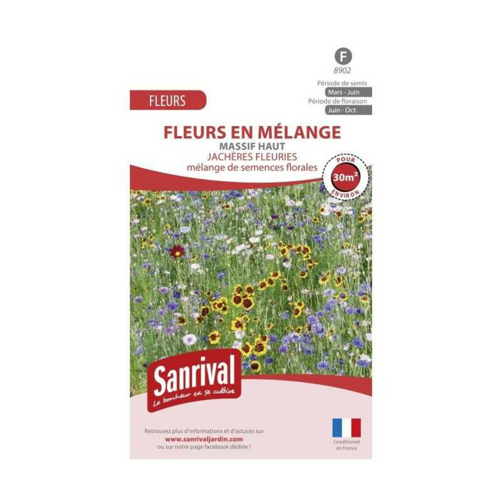 Jachère fleurie pour massif haut