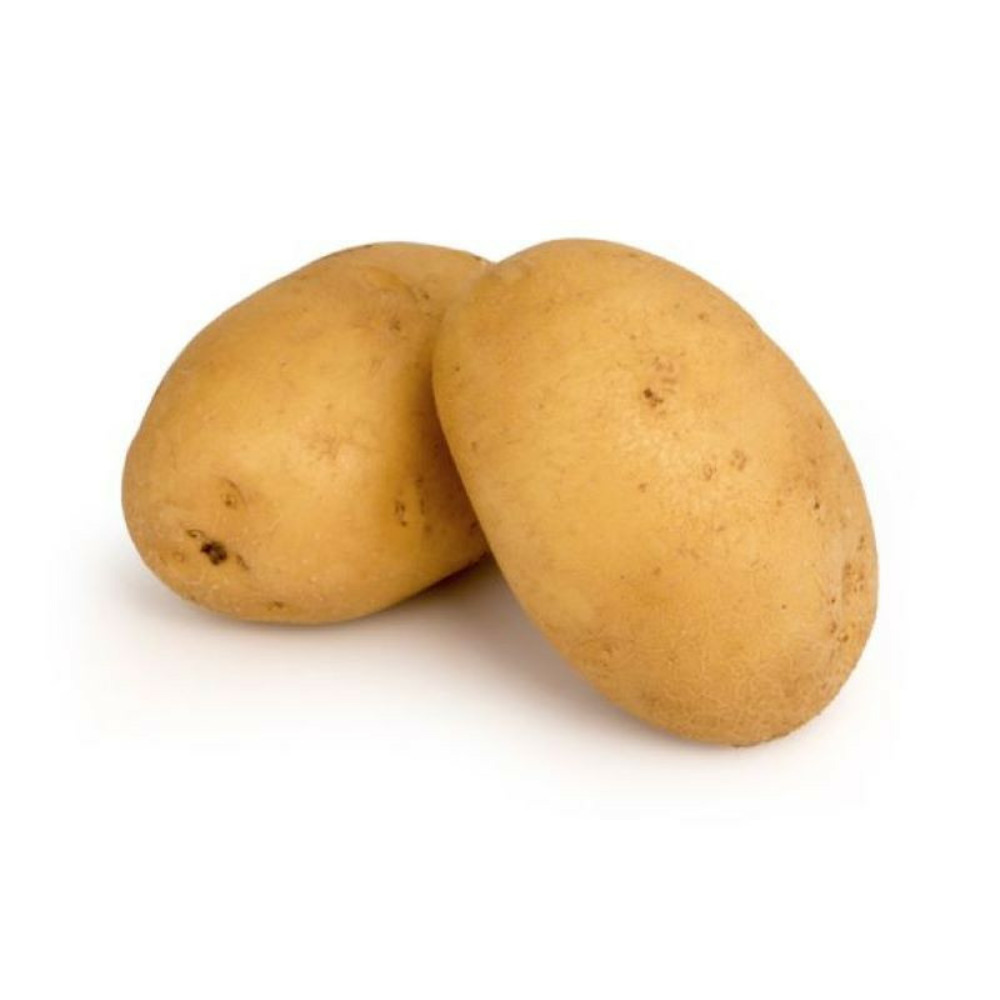 Adora 100 plants de pomme de terre Truffaut Adora 100 plants de pomme de terre Truffaut
