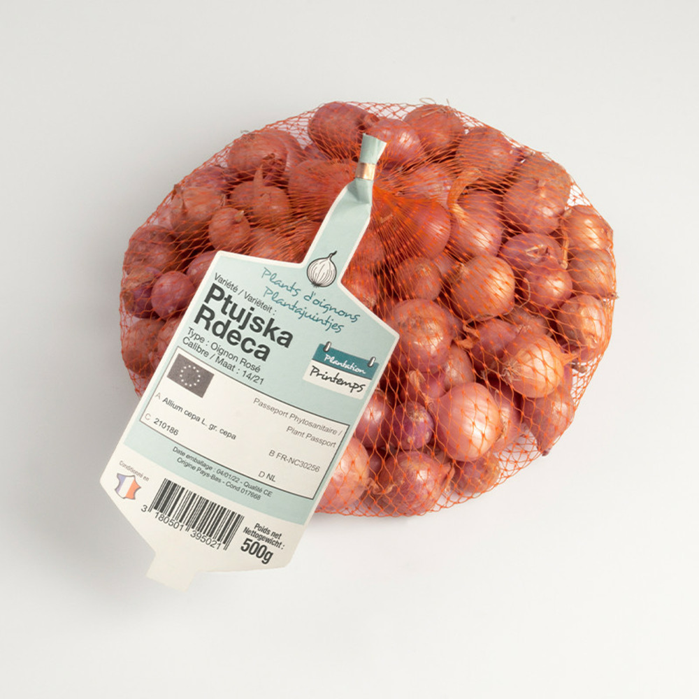 Ptujska rdeca (rose) bulbes d'oignons a repiquer 500gr