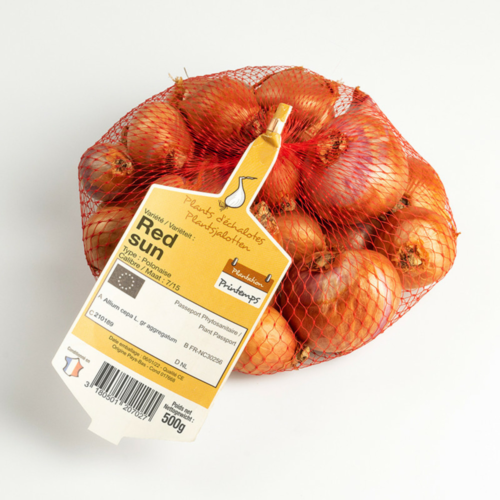 Red sun 7/15 echalotes a repiquer 500 gr