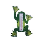 Thermomètre en forme de grenouille