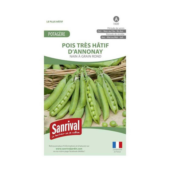 Graines petit pois annonay tardif