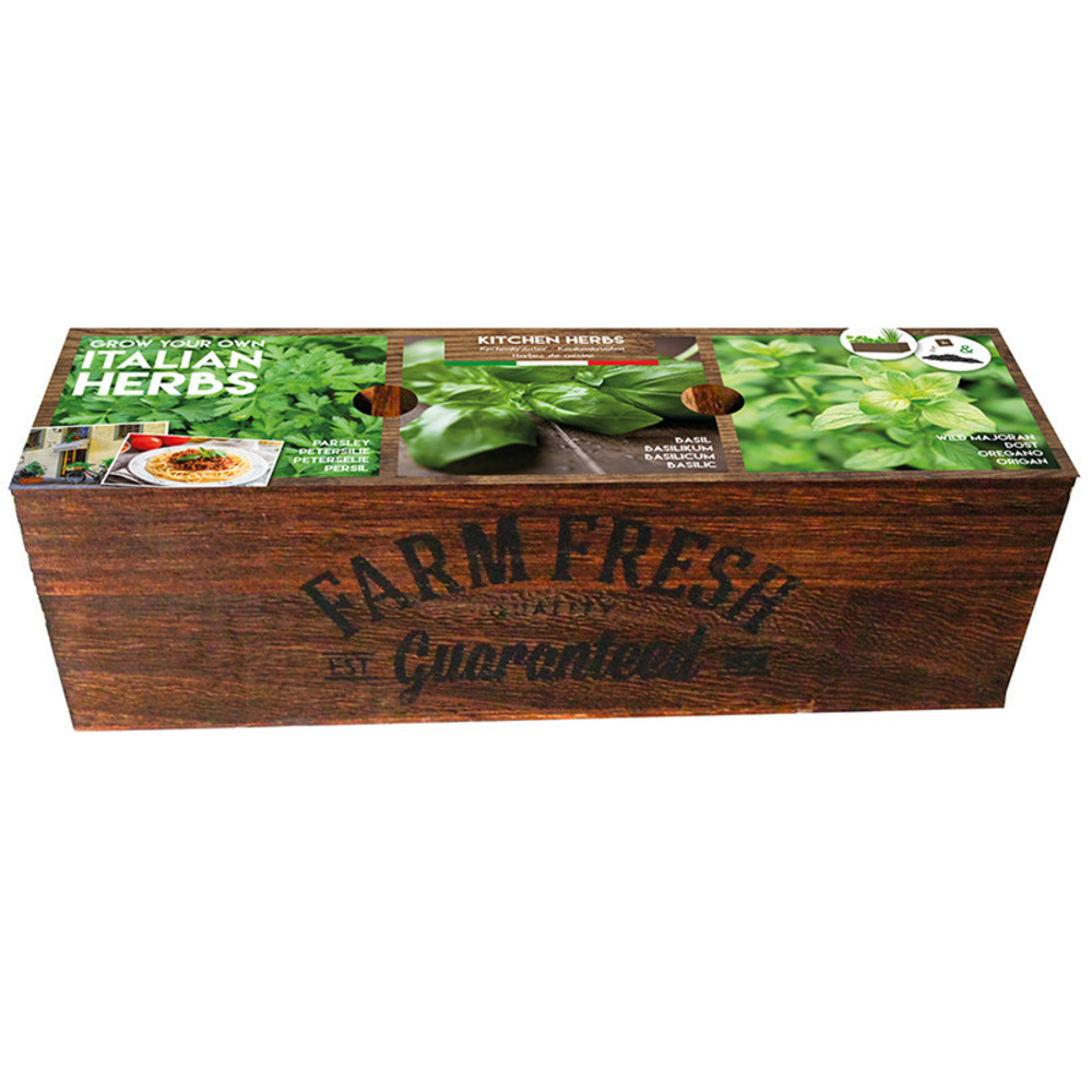 Kit prêt à pousser - herbes de cuisine italiennes