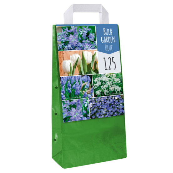 Mix de 125 bulbes bleus pour le jardin