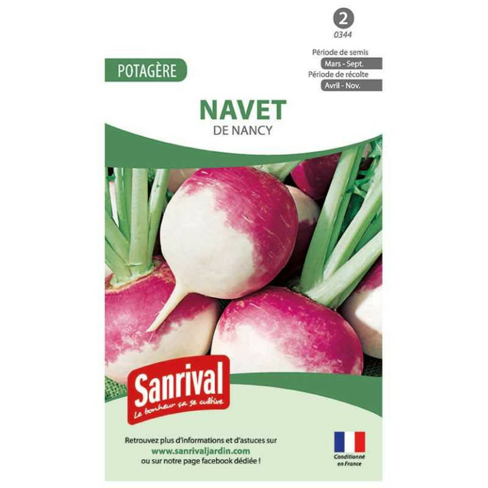 Graines navet rond de nancy