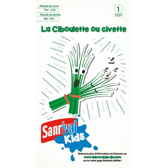 Graines ciboulettes pour enfants