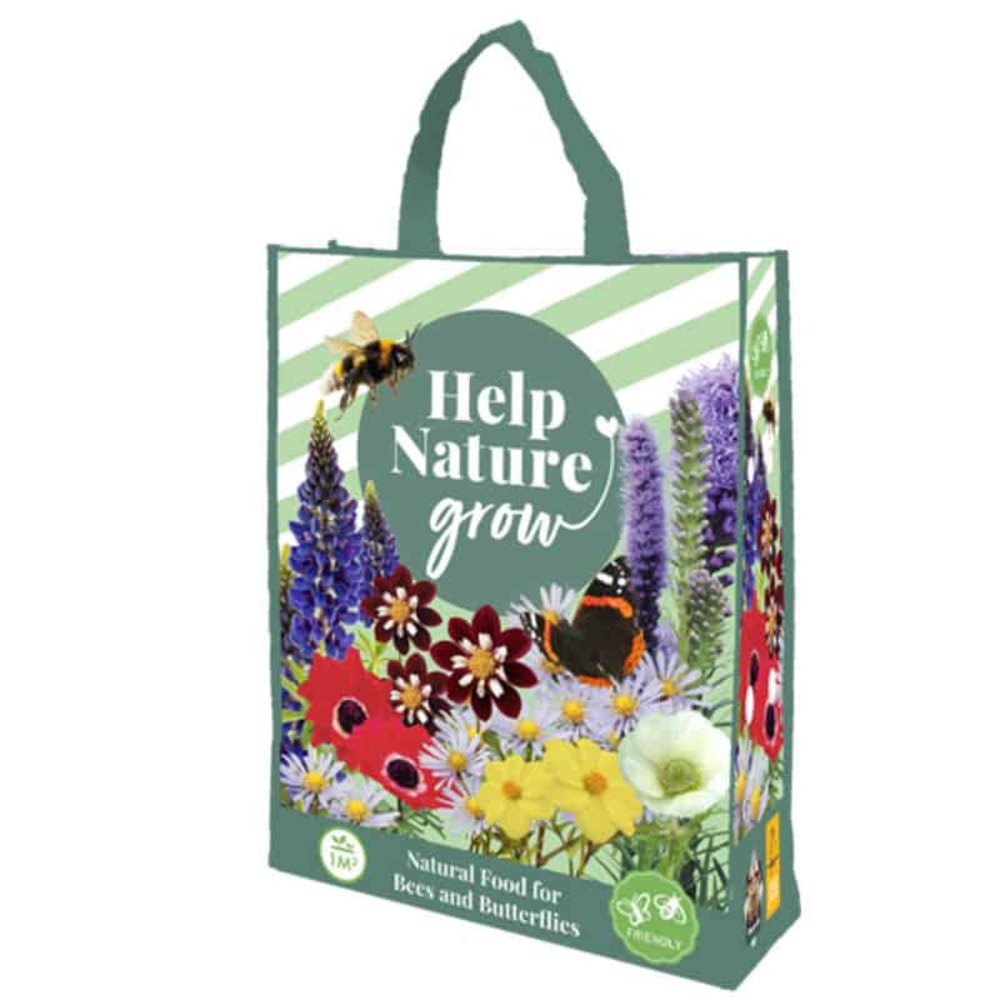 Bulbes de fleurs abeilles & papillons multicolore