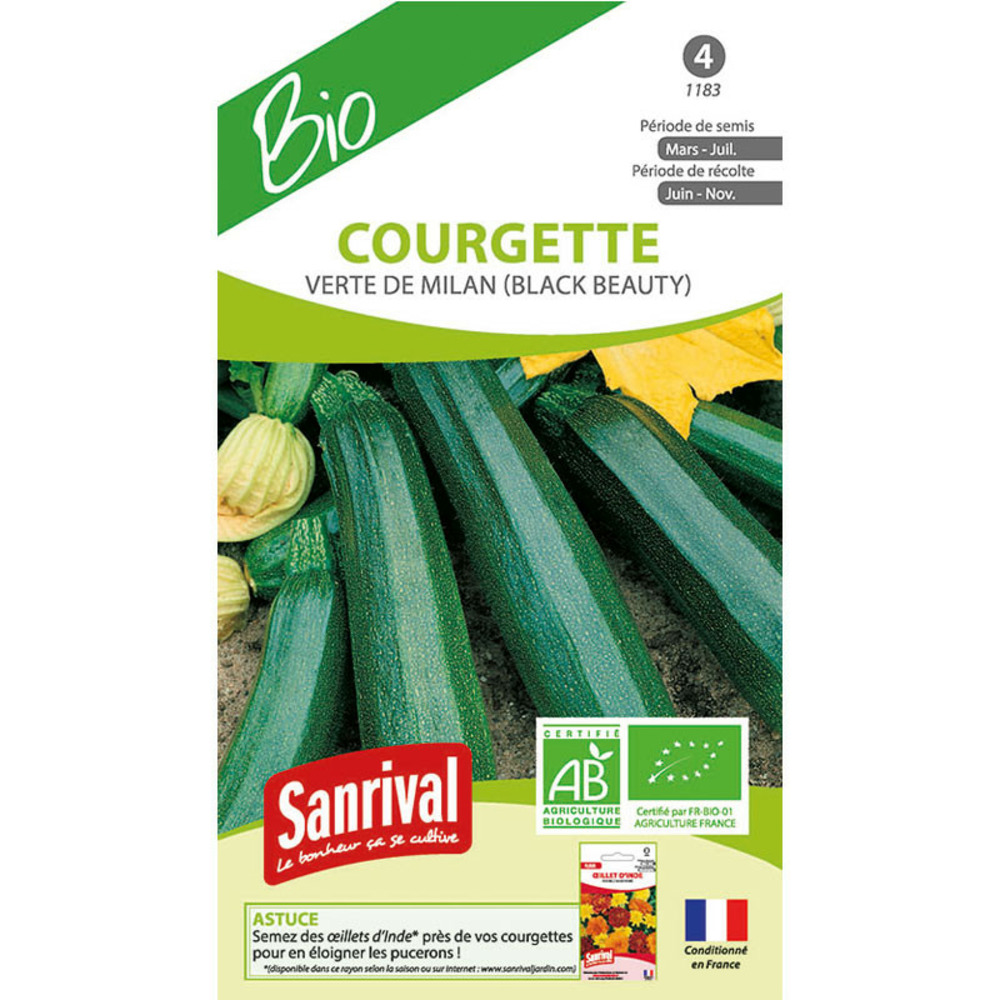 Graines de courgette verte noire bio