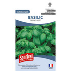 Graines basilic grand vert