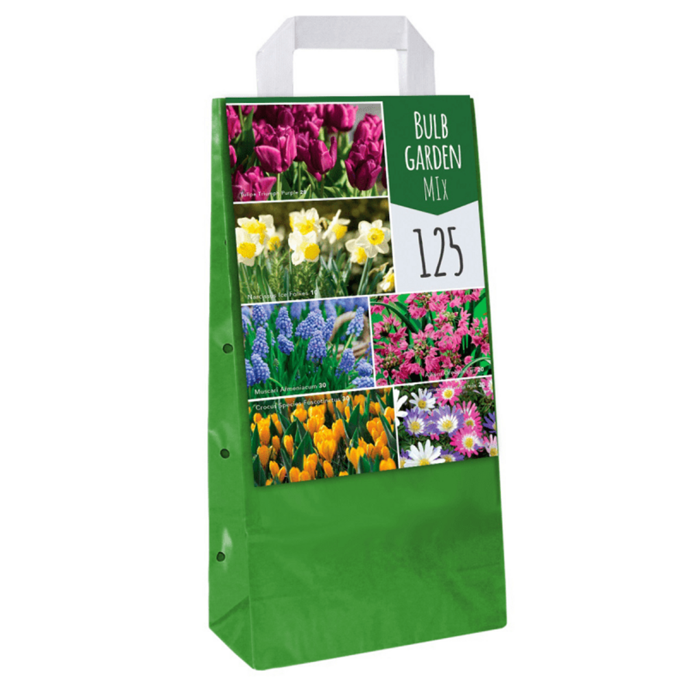Mix de 125 bulbes pour le jardin multicolore