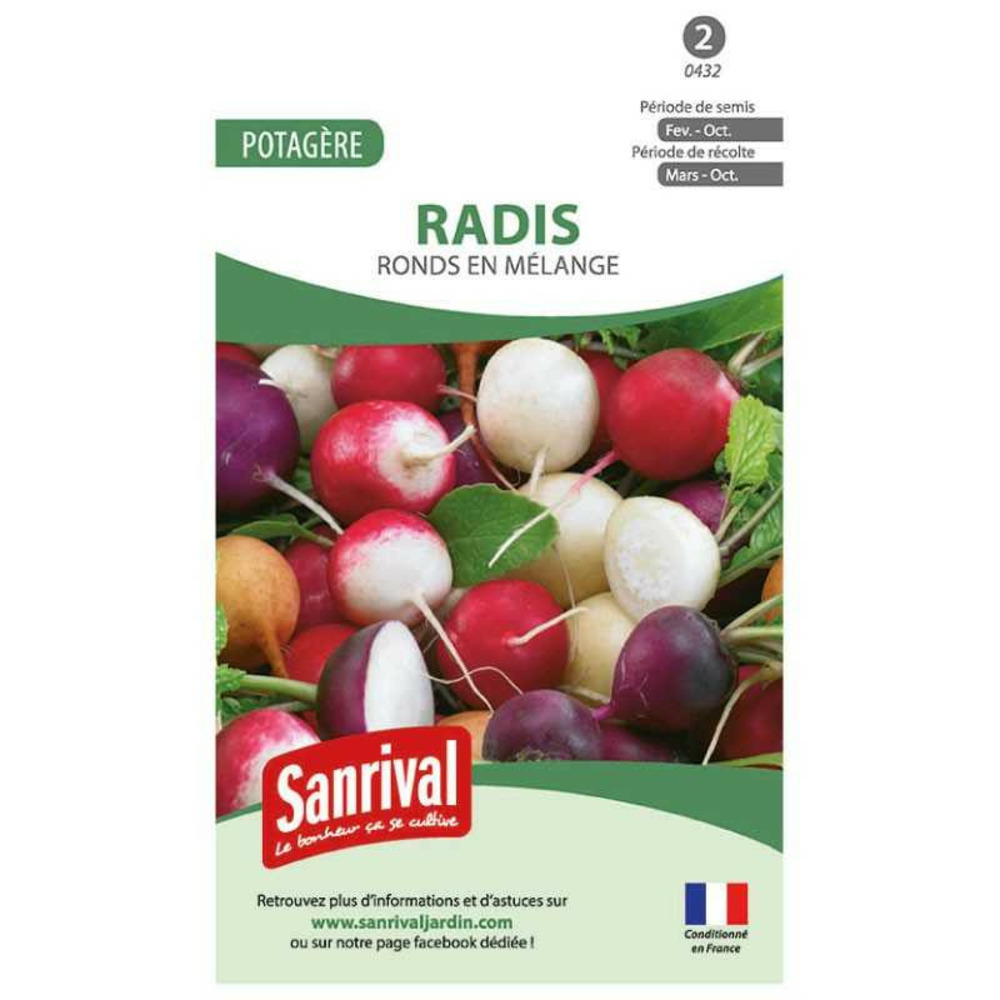 Mélange graines de radis rond