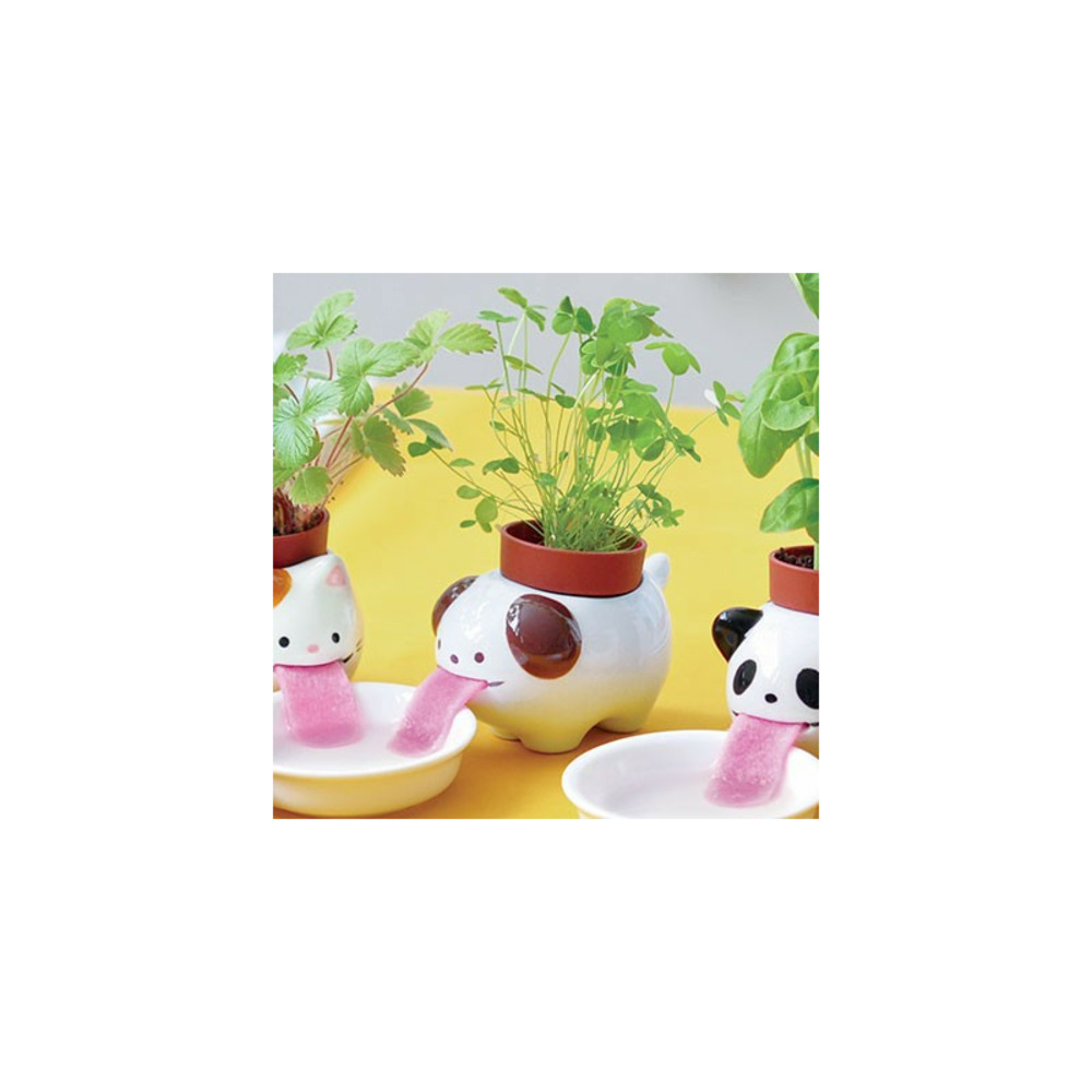 Pot trèfle à 4 feuilles peropon chien