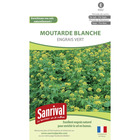 Graines moutarde blanche