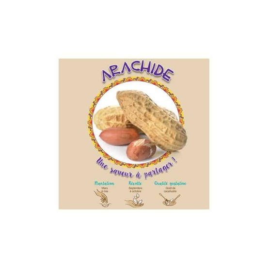 Arachide 50 gr à planter