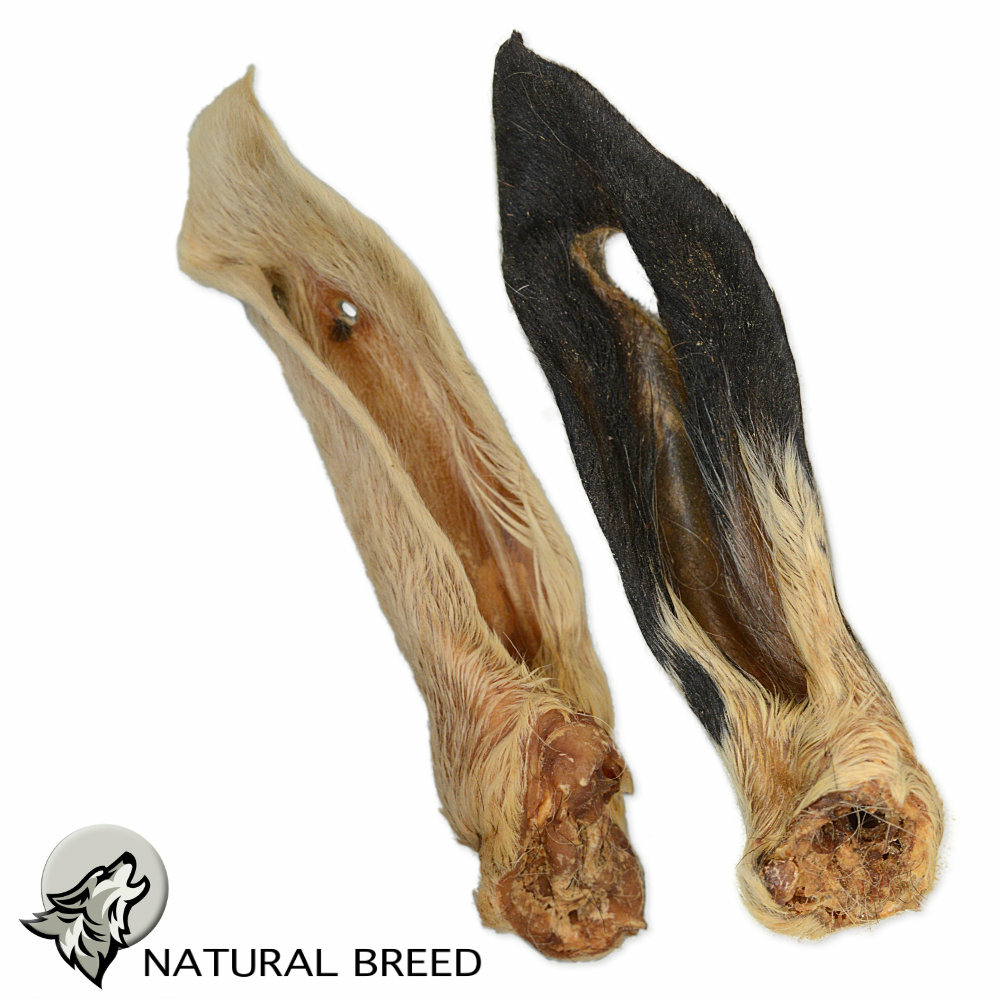 Oreille d'agneau avec fourrure, friandise naturelle, pour chien, 1 kg