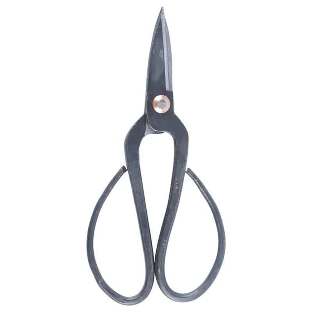 Natudeco Ciseaux à bonsaï en acier de 7,9 po Ciseaux de jardin Outils de coupe Spécification Branches de plantes Élagage pour parc Jardin botanique