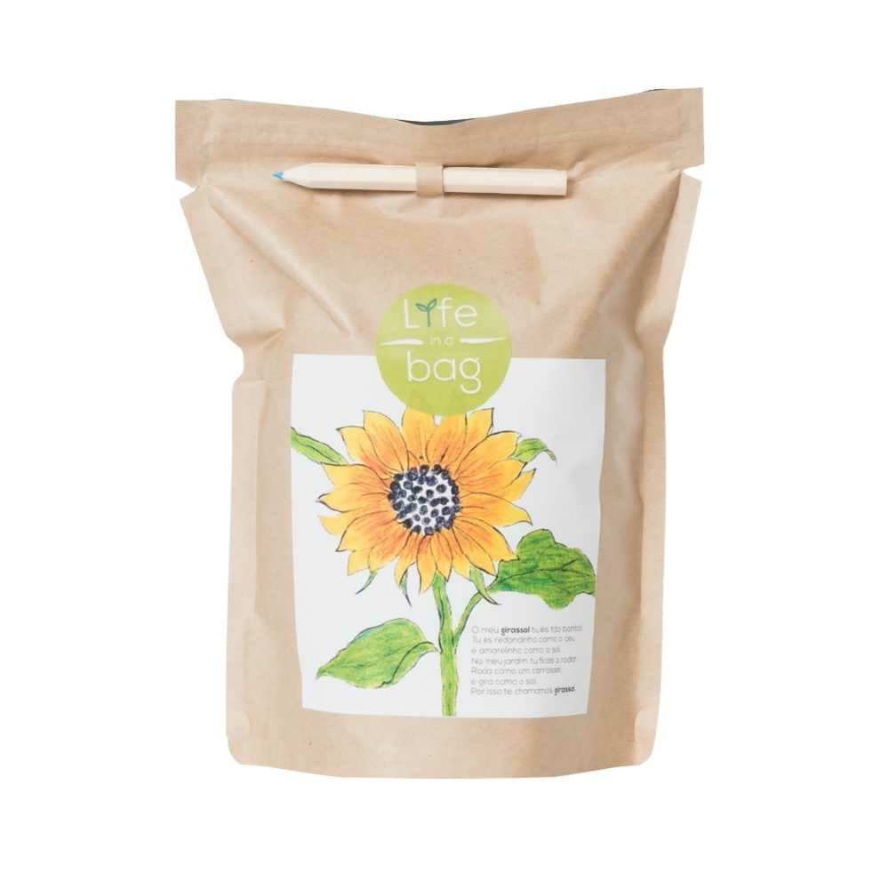 Kit bio jardinage prêt à pousser tournesol