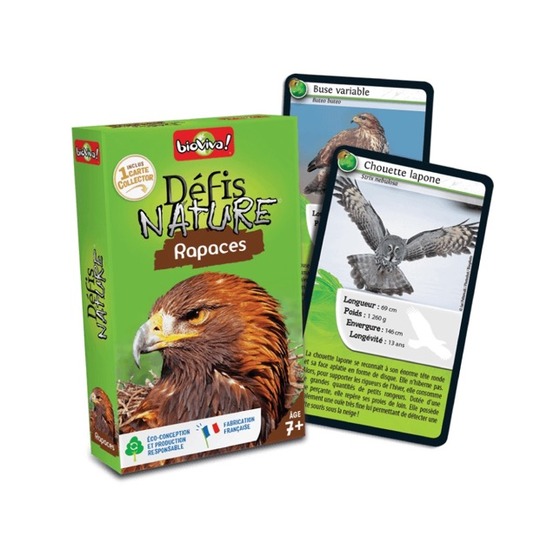Défis nature : rapaces