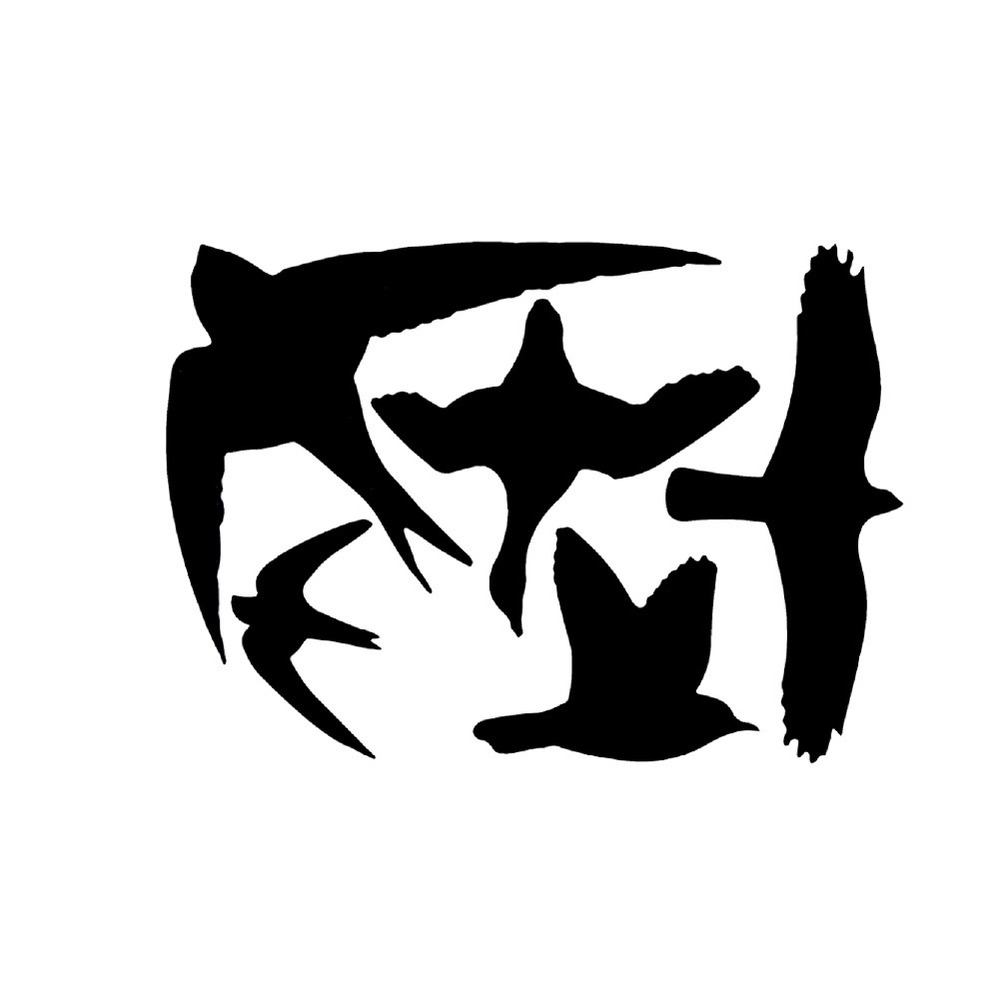 5 silhouettes d'oiseaux autocollantes anti-collision