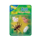 Figurines métamorphose fourmis