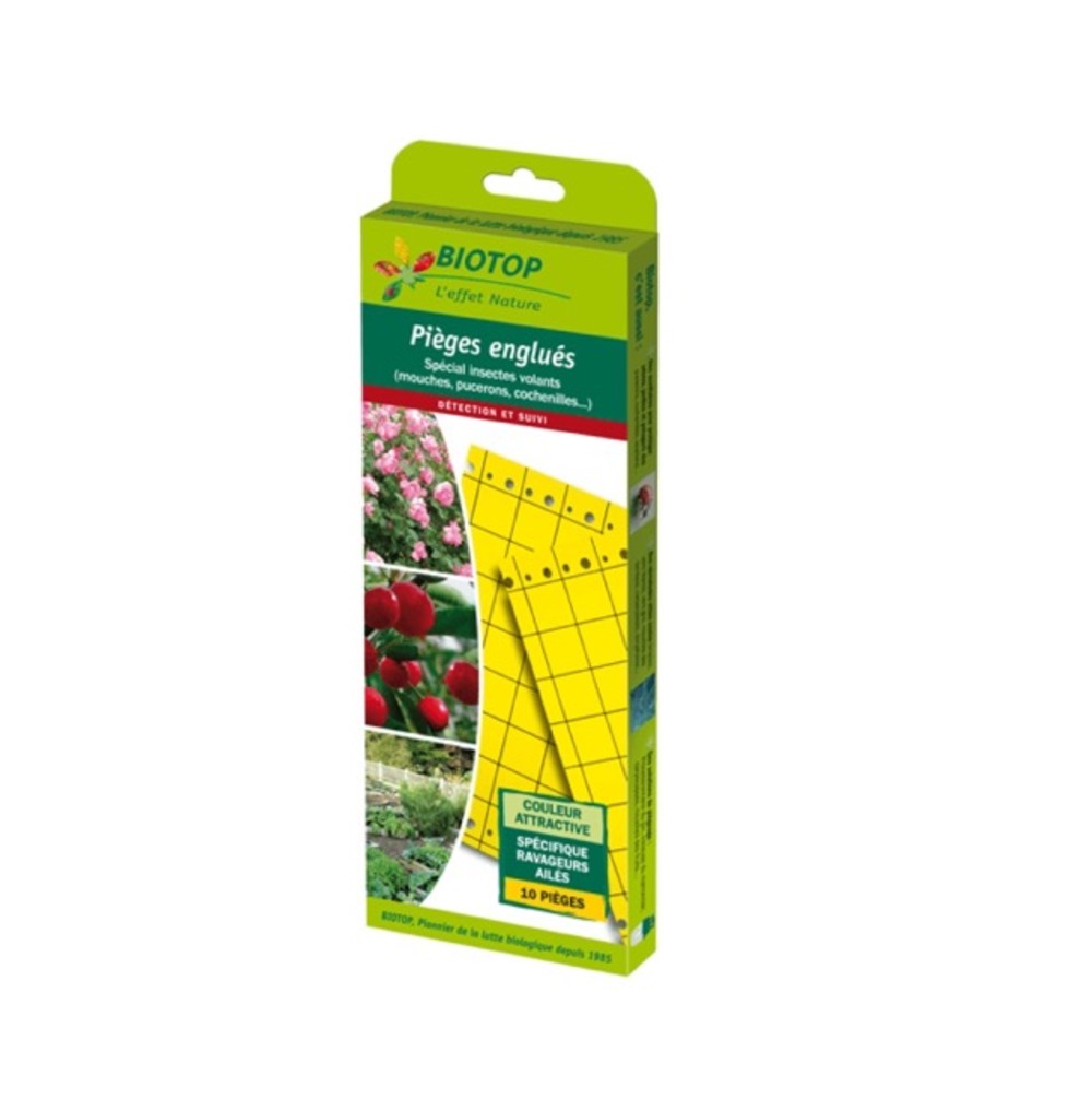 Mini-pièges jaune Moucherons du terreau - Soins des plantes/Répulsifs  insectes et maladies des plantes - La Jardinerie de Pessicart
