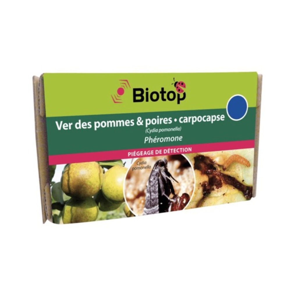Phéromone carpocapse des pommes et des poires longue duree (1 capsule)