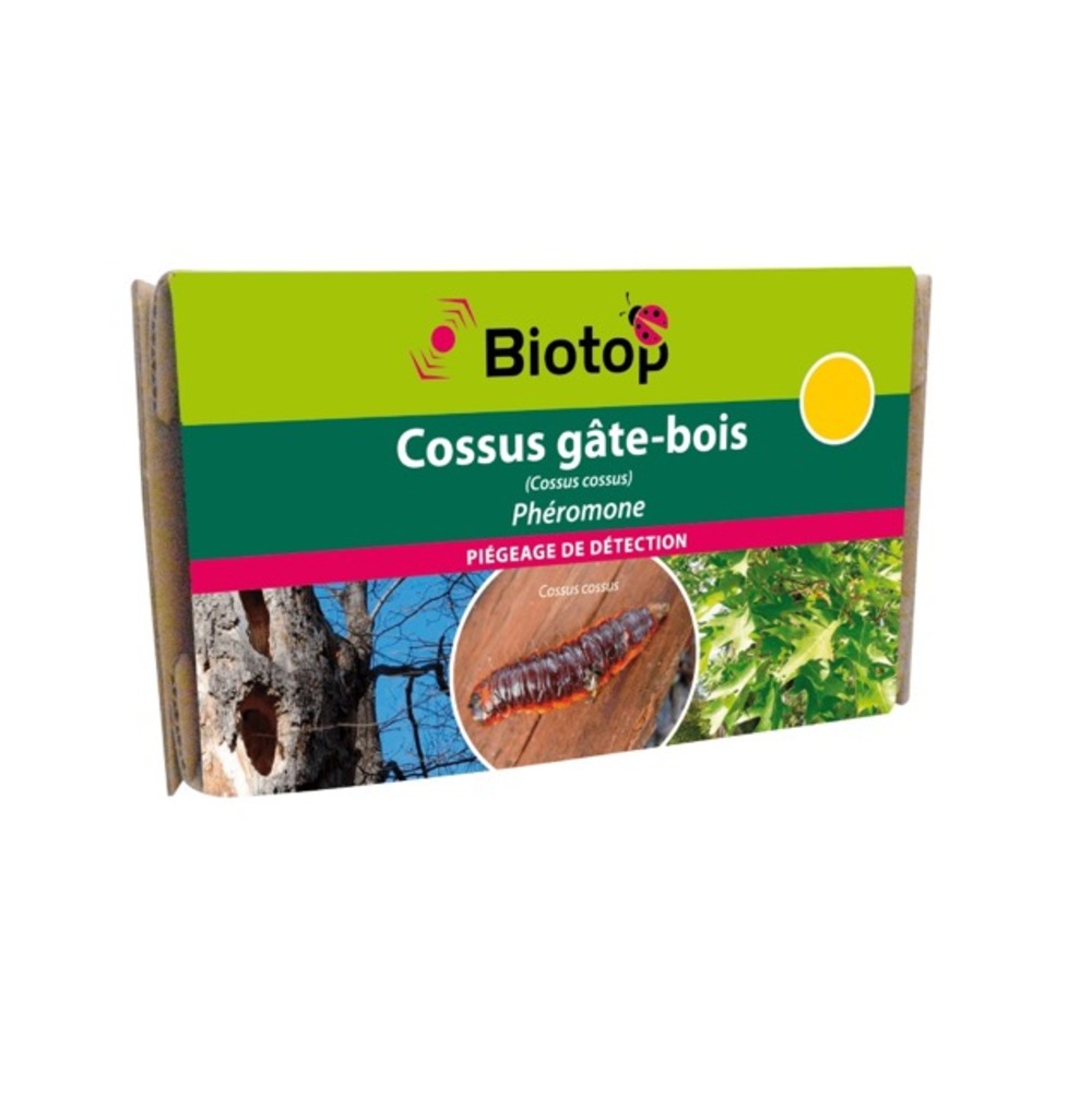Phéromone cossus gâte-bois (2 capsules)