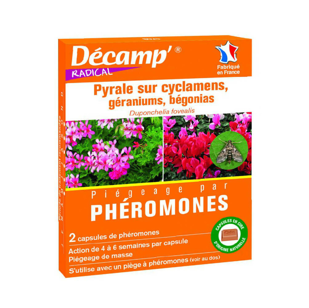 Phéromones contre la chenille du géranium, cyclamen, bégonia, azalée...