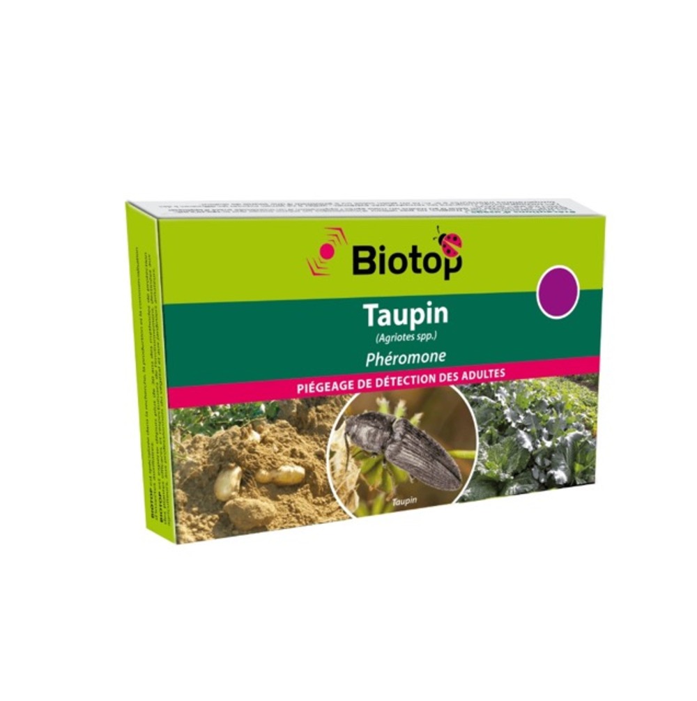 Phéromone agriotes : taupin (1 capsule)
