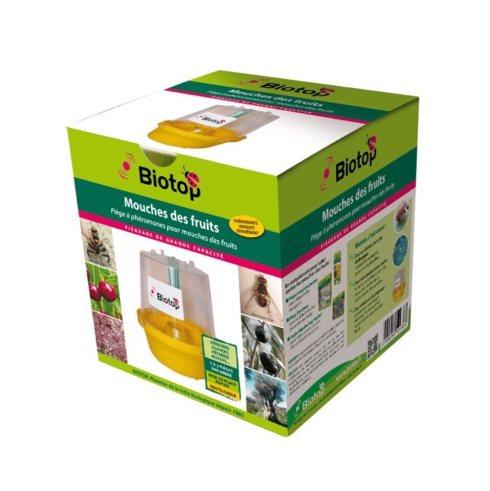 Piège mouche : mouche des fruits