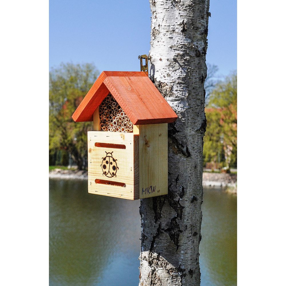 Hôtel à Insectes 30x22cm - Maison En Bois Pour Abeilles Et Coccinelles à Suspendre