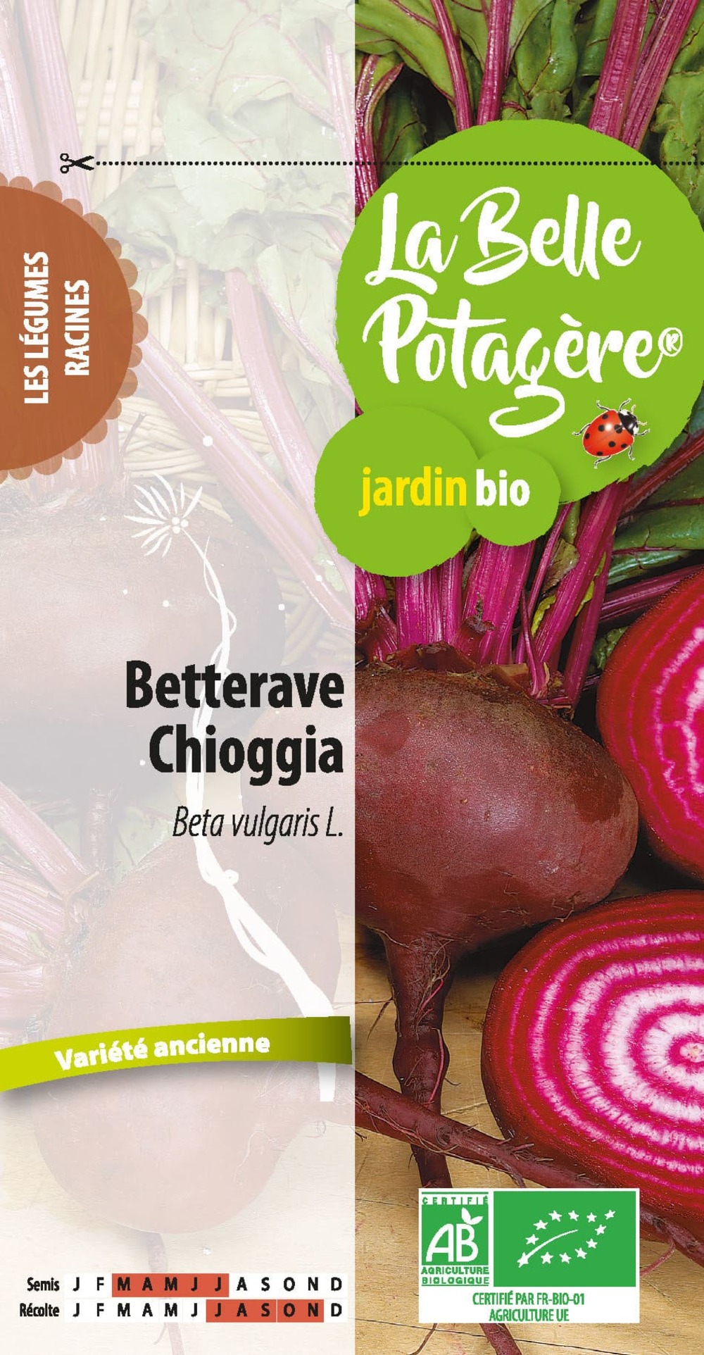 Betterave chioggia 2.5 g
