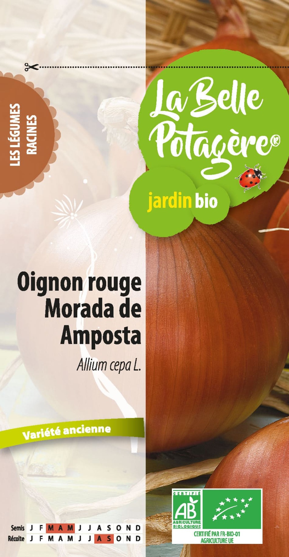 Oignon rouge morada de amposta 1 g