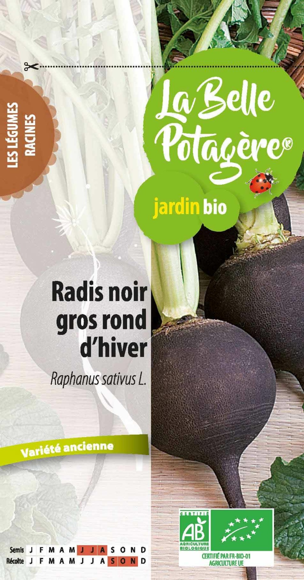 Radis noir gros rond d'hiver 4 g