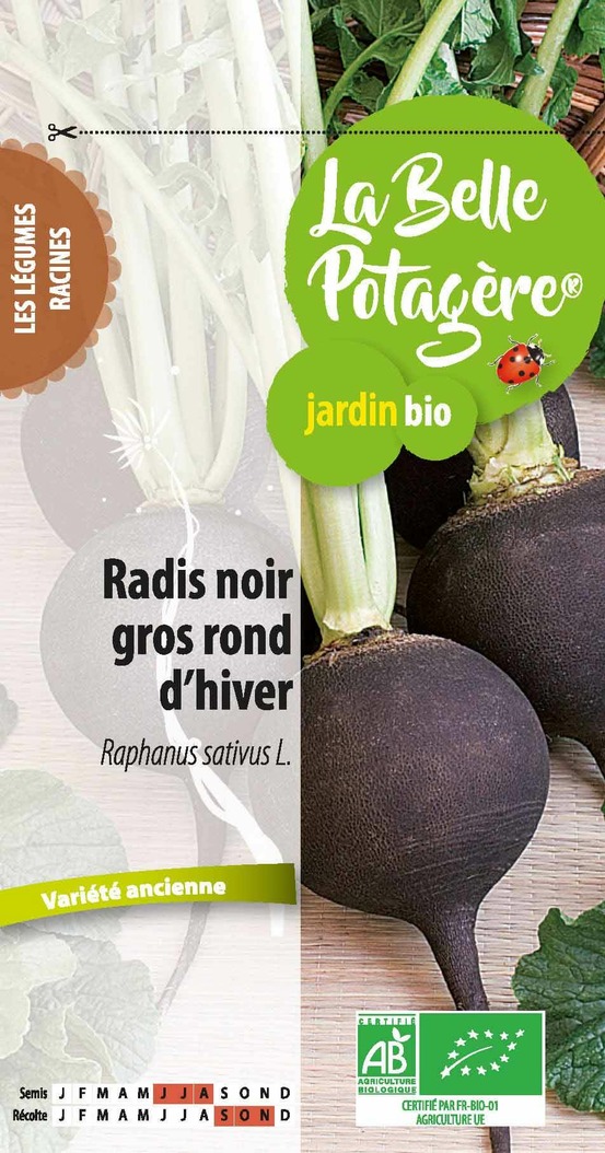 Radis noir gros rond d'hiver 4 g