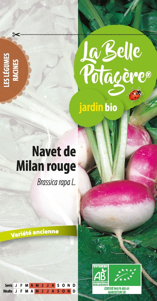 Navet de milan rouge 1 g
