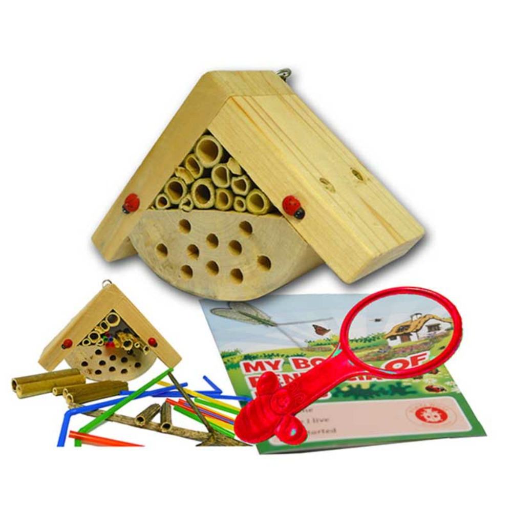 Mini gîte à insectes