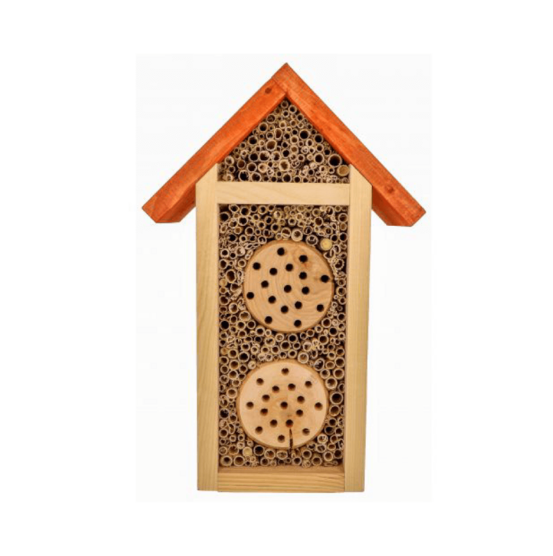 Gite à insectes - premium