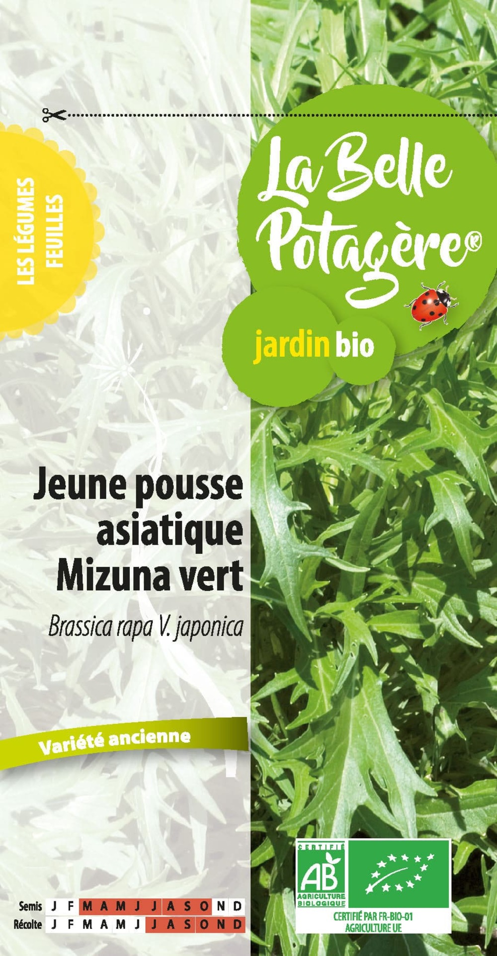 Jeune pousse asiatique mizuna vert 1.5 g