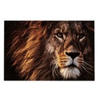 Décoration murale lion en verre marron 150x100x0.5 cm