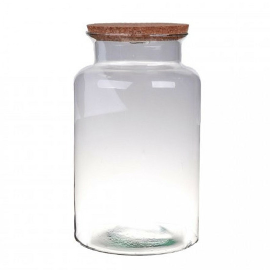 Terrarium bose 30cm - bouchon liège