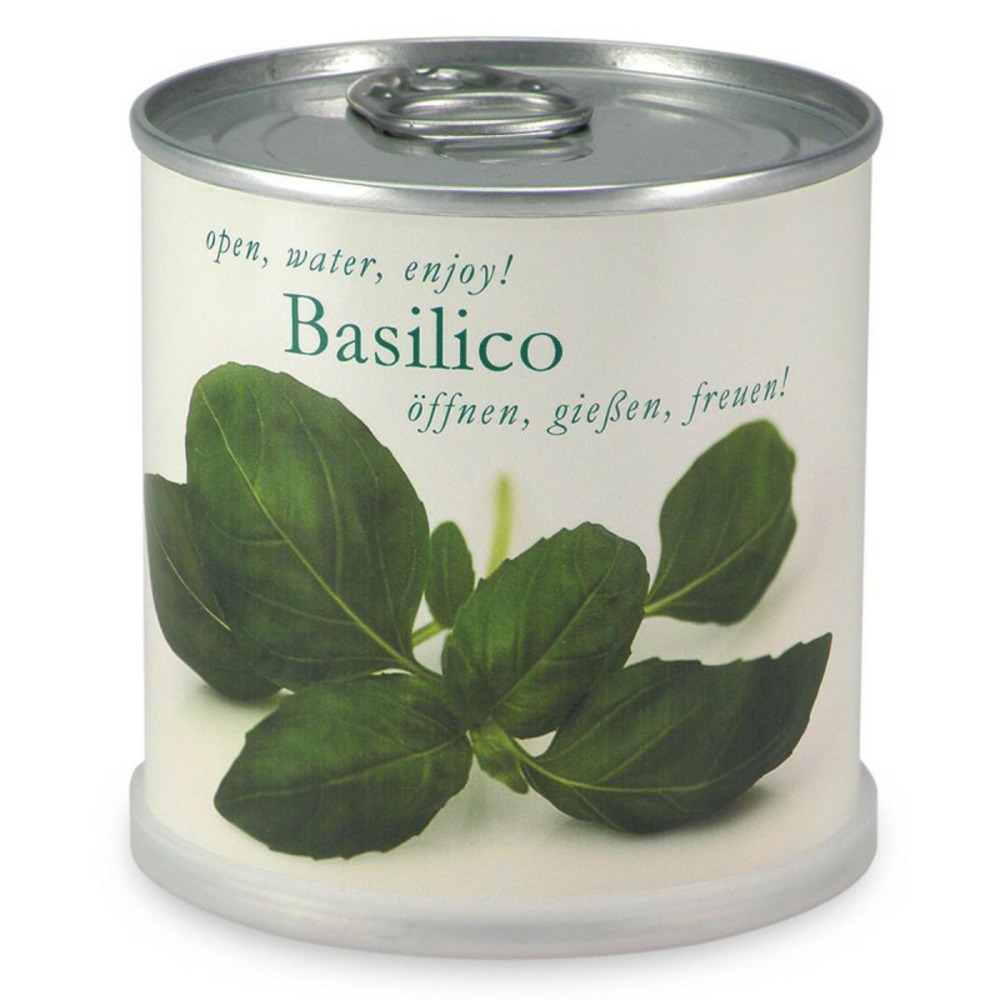 Basilic à faire pousser en boite