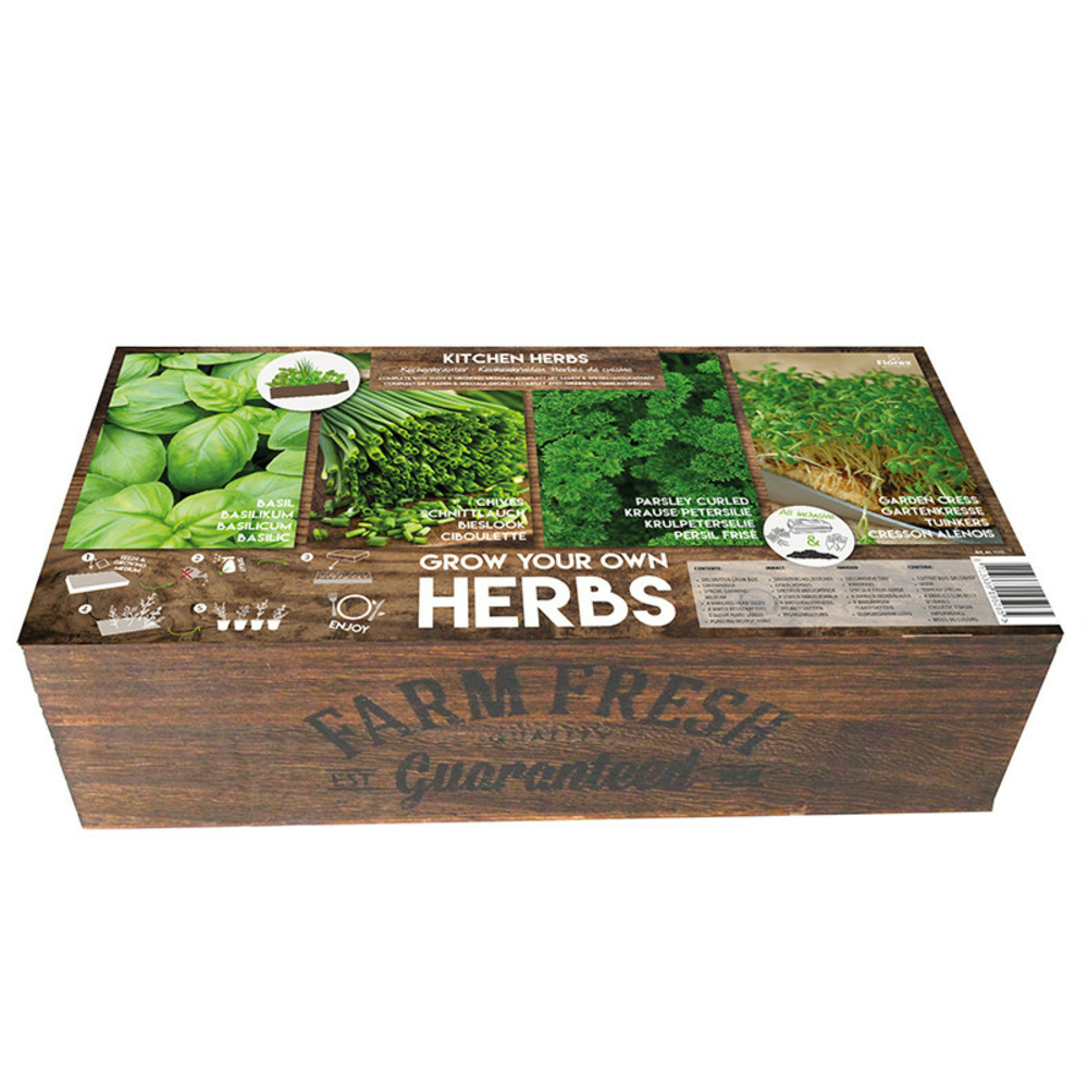 Carré de potager herbes de cuisine