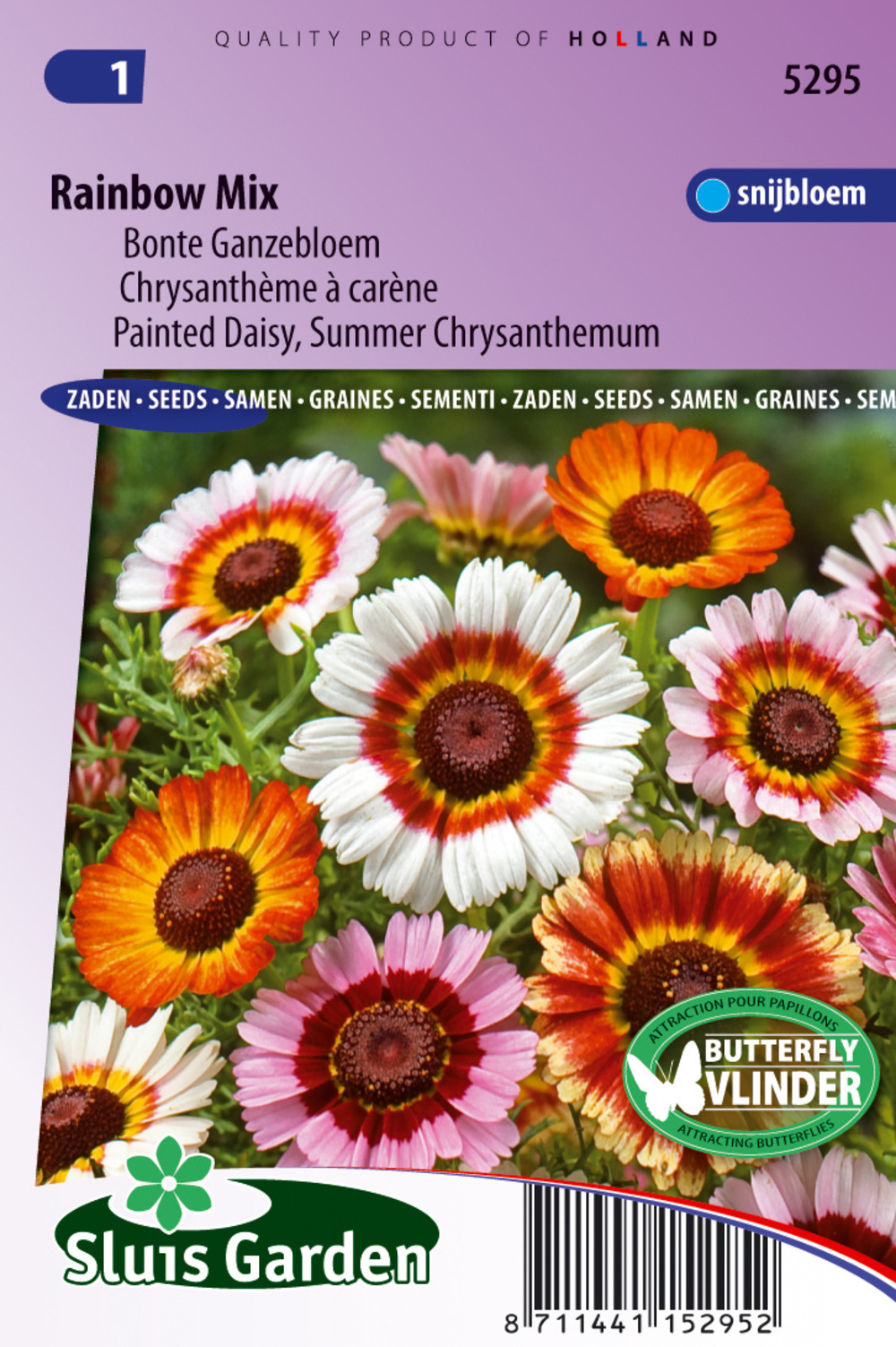 Chrysanthème à carène rainbow mix - graines de fleurs annuelles - ca. 0,7 g